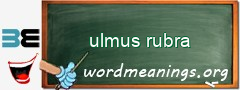 WordMeaning blackboard for ulmus rubra